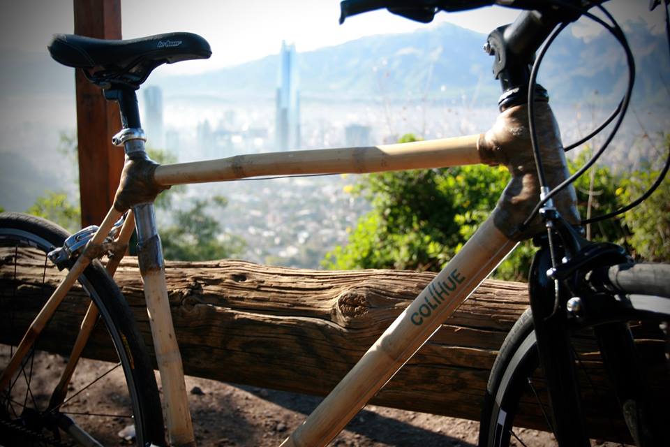 13620080_509716635884940_4871598653212328555_n