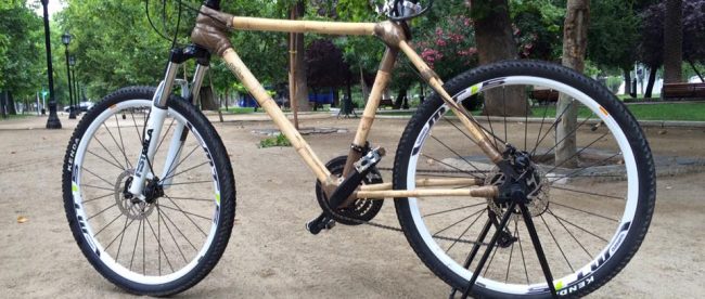 15338657_569249069931696_6938521065042797301_n