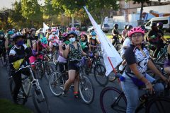 GALER&Iacute;A DE IM&Aacute;GENES