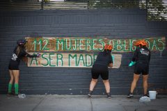 GALER&Iacute;A DE IM&Aacute;GENES