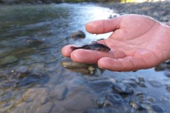 Galer&iacute;a de Fotos