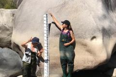 Galer&iacute;a de Fotos