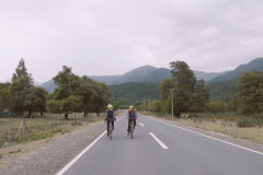 Galer&iacute;a de Fotos